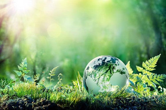 Fact or Fiction Friday Carbon Footprint Today’s Choices Shape Tomorrow’s World