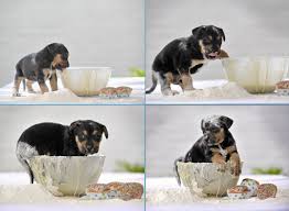 Thrifty Thursday - help with getting all of that batter out of the bowl!