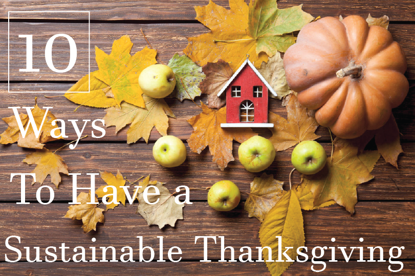 Fact or Fiction Friday Thanksgiving Environmental Impact
