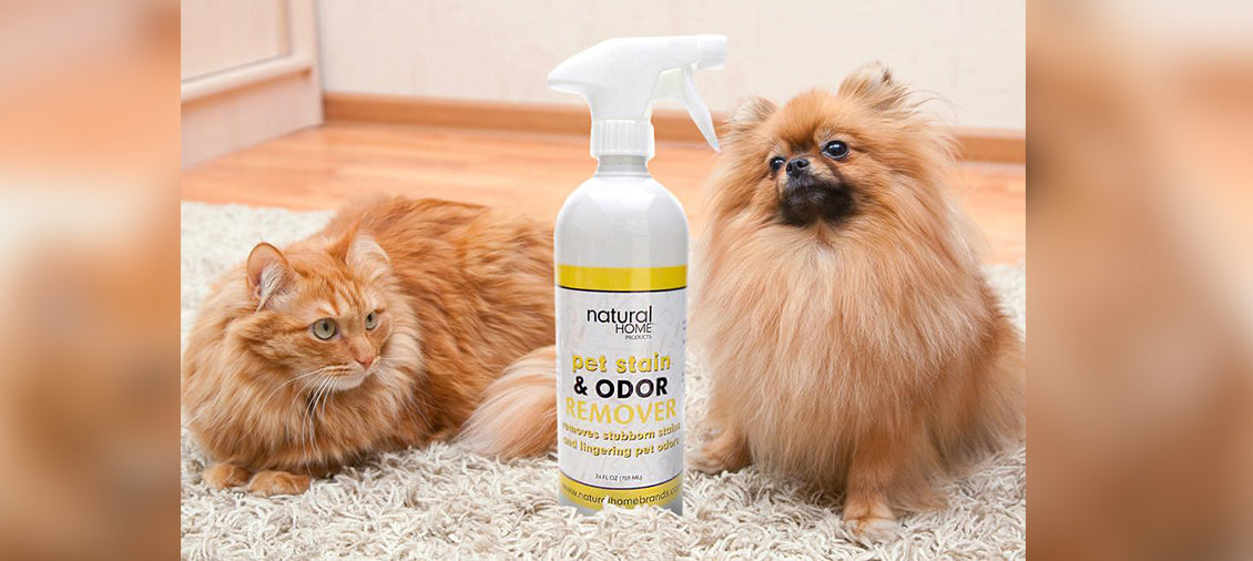 Pet Products