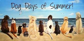 Thrifty Thursday – Dog Days of Summer are here
