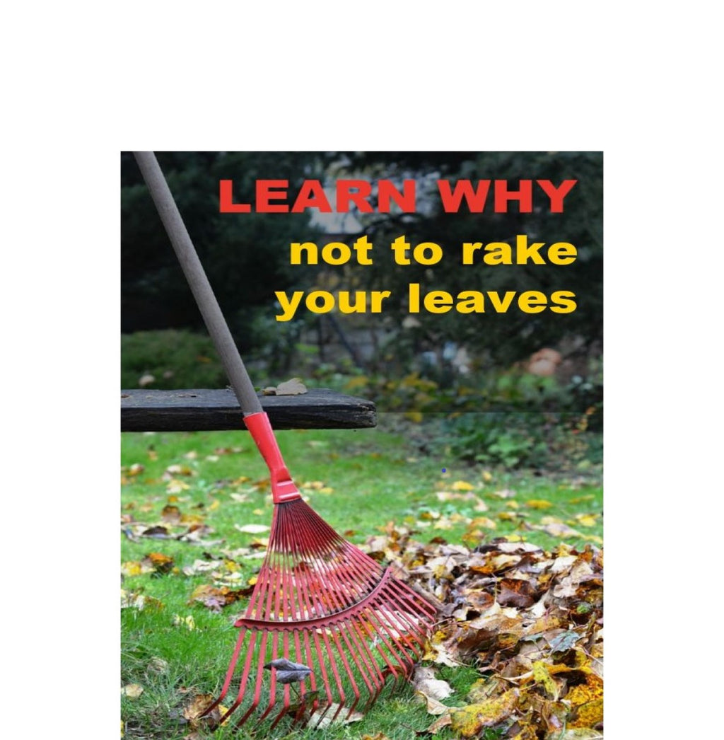 Tuesday Tips - DON'T rake your leaves this Fall