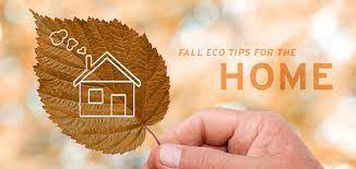 Tuesday Tips - 5 Ways To Make Your Home More Eco-Friendly this Autumn