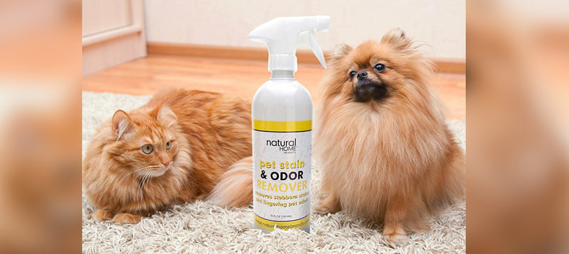 Pet Products