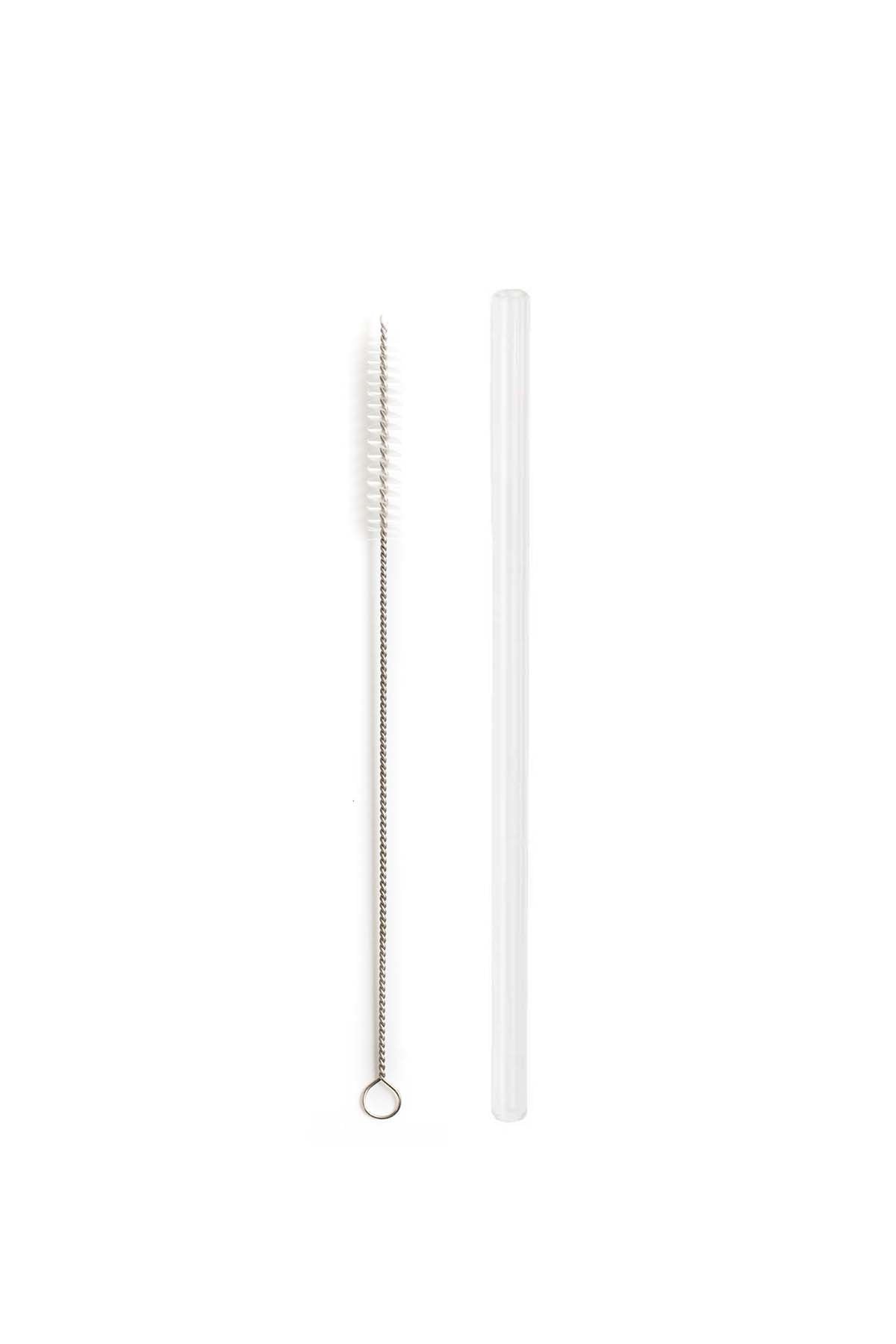 Reusable Glass Straws - Scout